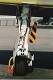 hawk_27.jpg
