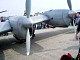 heron_07.jpg