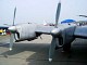 heron_08.jpg