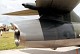 hunter_27.jpg