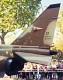 jaguar_04.jpg