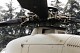 mangusta__28.jpg