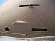 wing_p_under.jpg