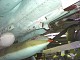 mig_21_06.jpg