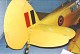 percgull_03.jpg