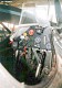 pzl11_11.jpg