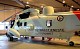 seaking00.jpg