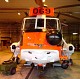 seaking02.jpg