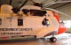 seaking16.jpg