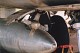 sk_35_07.jpg