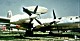 tu_4_bull_07.jpg