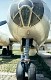 tu_4_bull_08.jpg