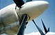 tu_4_bull_10.jpg