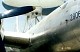 tu_4_bull_15.jpg