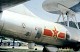 tu_4_bull_16.jpg