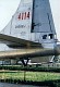 tu_4_bull_26.jpg
