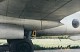 tu_4_bull_30.jpg