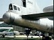 tu_4_bull_32.jpg