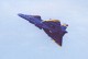 viggen_bla_05.jpg