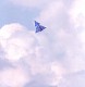 viggen_bla_07.jpg