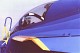 viggen_bla_13.jpg