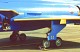 viggen_bla_21.jpg