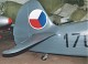 yak11_14.jpg