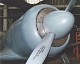 yak11_16.jpg
